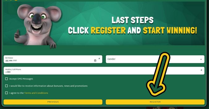 Step 5: Enter your date of birth, phone number, and agree to terms, then click Register.